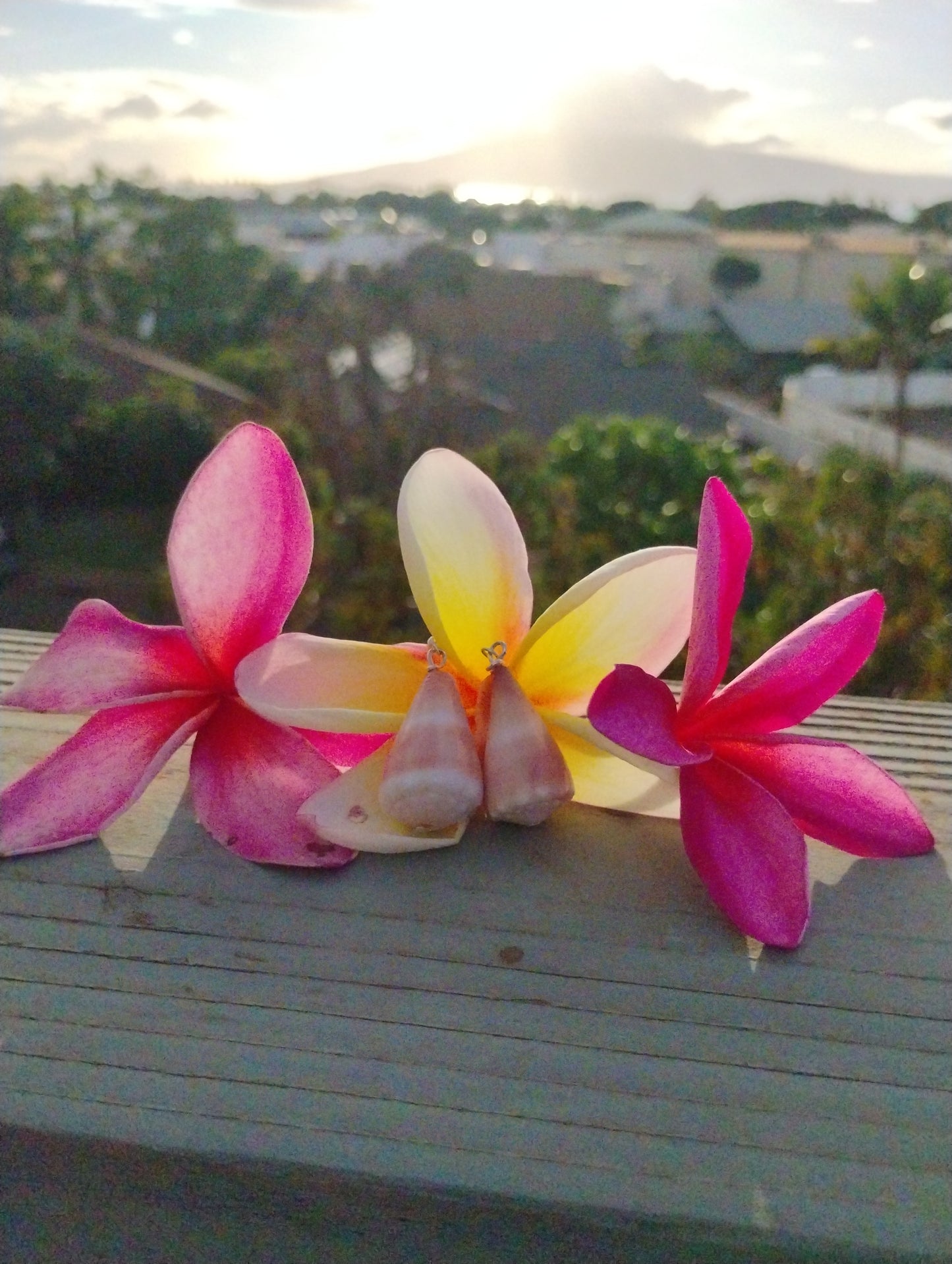 Starburst shellshell