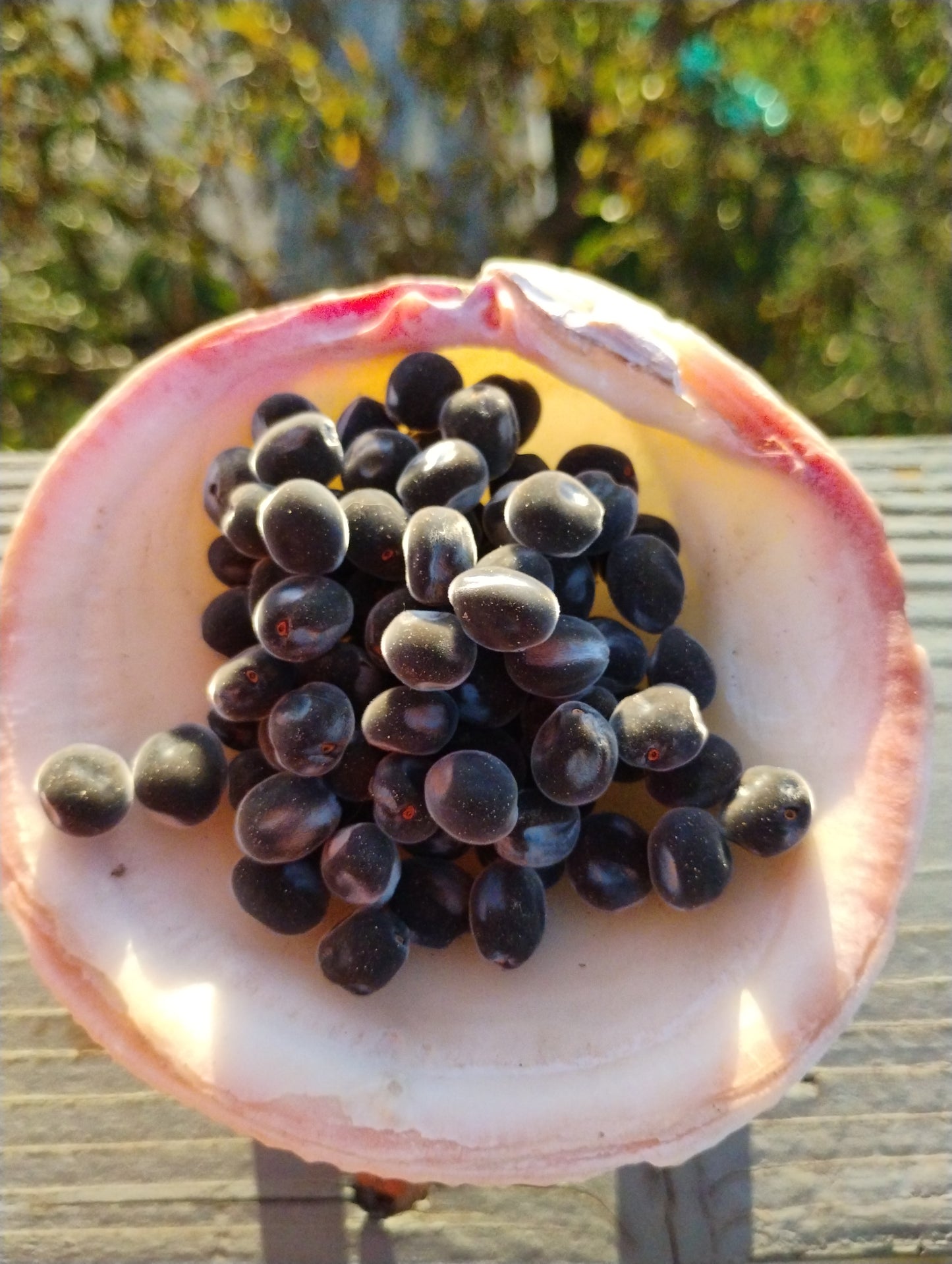 Seed beads